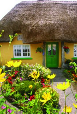 Adare Village