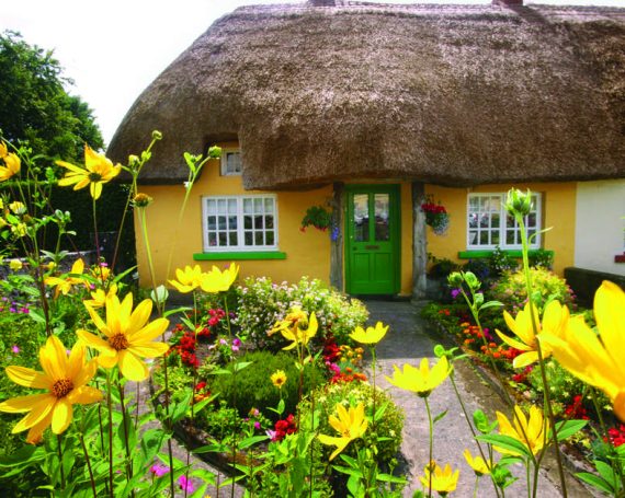 Adare Village